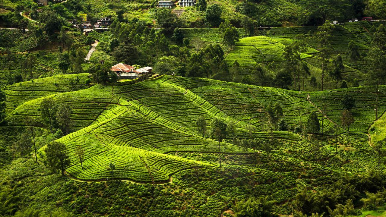 Kirula Green Hotel  Nuwara Eliya Buitenkant foto