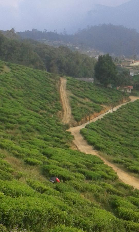 Kirula Green Hotel  Nuwara Eliya Buitenkant foto